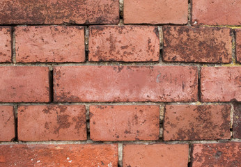 bricks