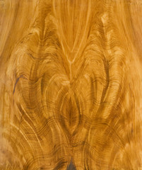 mahogany wood texture