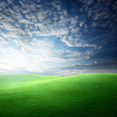 field of grass and sunset