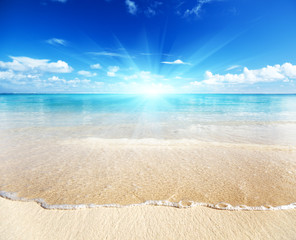 Fototapeta na wymiar piasek z plaży Morza Karaibskiego