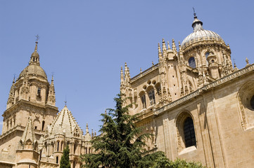 Fototapeta na wymiar catedral Salamanca