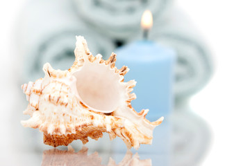 Seashell and candle
