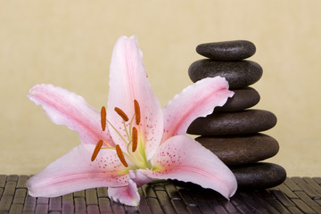 Fototapeta premium Massage stones with lily