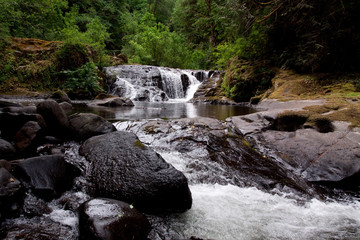 Sweet Creek Falls waterfalls in Oregon