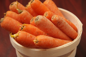 carottes