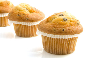 Fresh muffins