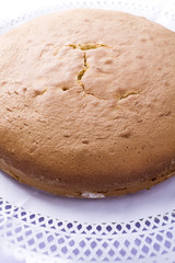Cake base over white background