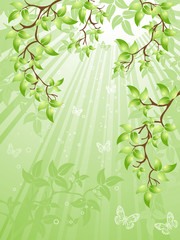 green leaves, vector illustration