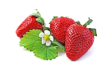 erbeere -  strawberry