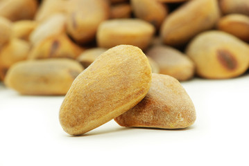 cedar nuts