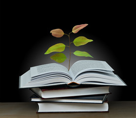 Tree growing from open book
