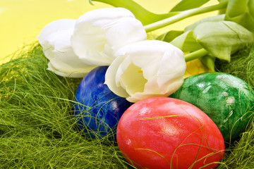 Ostereier im Nest mit weißen Tulpen,