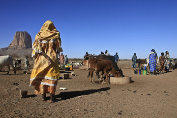 Mali, de Gao à Ménaka