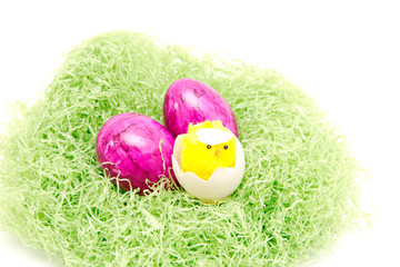 eggs and chicken toy on the grass