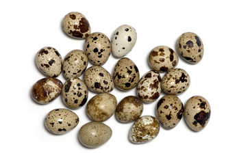 Obraz premium quail eggs