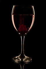 Hibiscus Flower Fizz