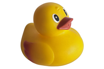 yellow_duck