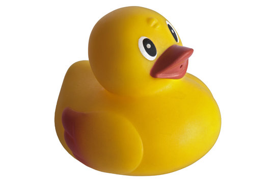 yellow_duck