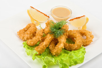squid
