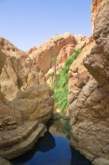 River between rocks in the oasis of Tozeur