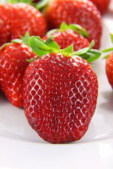 Fraises