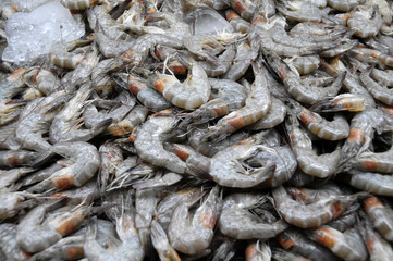 Prawns close up