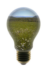 Lamp with  landscape