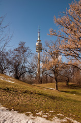 Frühling im Olympiapark München