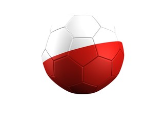 WM Fußball Polen