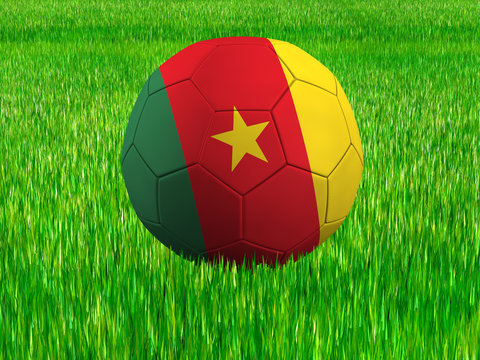 WM Football Kamerun