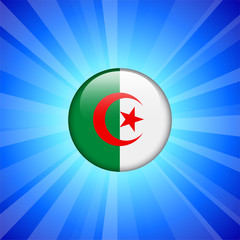 Algeria Flag Icon on Internet Button