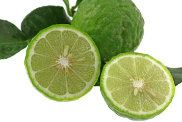 combavas, citrus hystrix, fond blanc