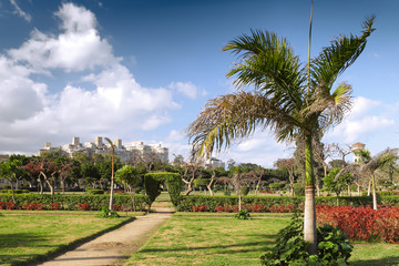 Fototapeta premium Montaza park on Montaza Palace area, in Alexandria, Egypt.