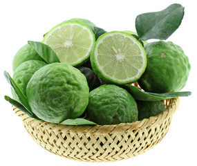 panier combavas, citrus hystrix, fond blanc