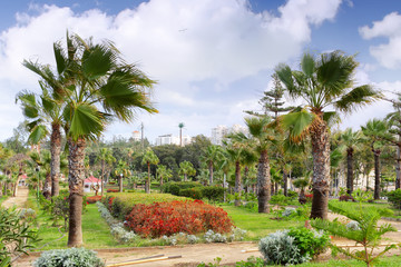 Montaza park on Montaza Palace area, in Alexandria, Egypt. © BRIAN_KINNEY