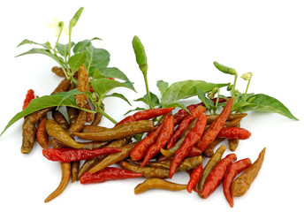 piments confits, fond blanc