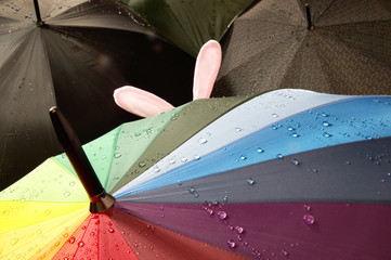 Regenschirm mit Ohren