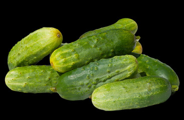 Cucumbers 4