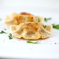 Close up of Pierogi.Traditional Polish Dish