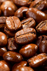 coffee beans