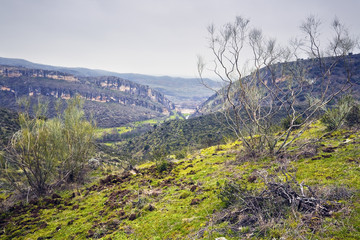 Fototapeta premium Presa del Pontón de la Oliva. Madrid