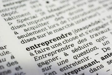 d&eacute;finition du mot entreprendre