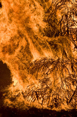 the flames of a bonfire