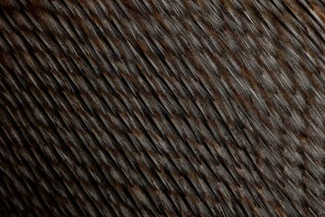 Photo sur Aluminium Pingouin Close-up de plumes de manchot de Humboldt