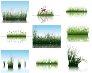 Obraz premium grass on water