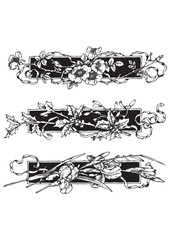 set of antique floral border engravings (vector)