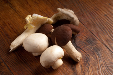 varieta di funghi su fondo di legno