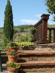 terrace with the view on vineyards  in Tuscany