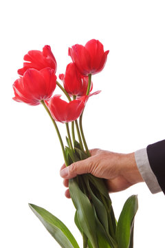 Giving Tulips