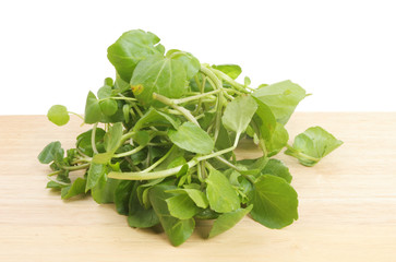 Watercress